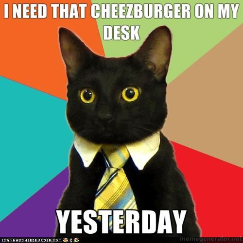 busines kitty needs that cheezburger on his desk yesterday